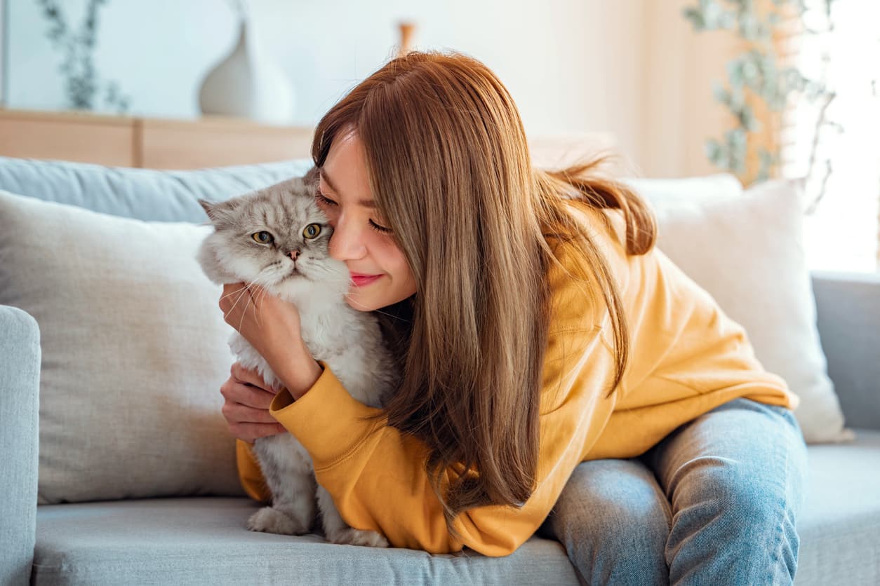 guide to pet insurance in singapore-image