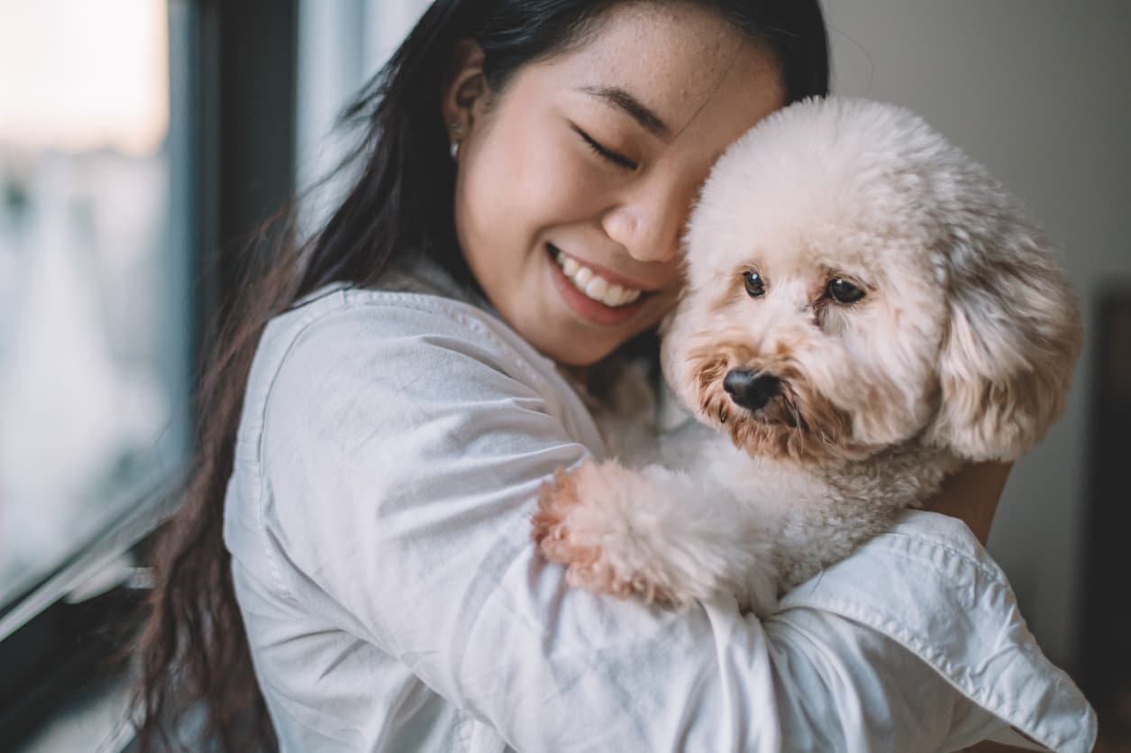 hdb friendly dogs in singapore-image